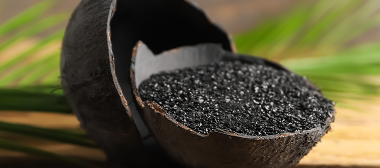 Which Carbon is Better: Coal-Based or Coconut Shell-Based?
