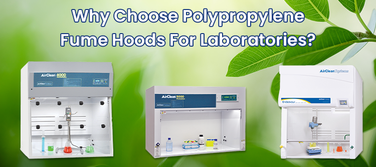 Why Choose Polypropylene Fume Hoods for Laboratories?